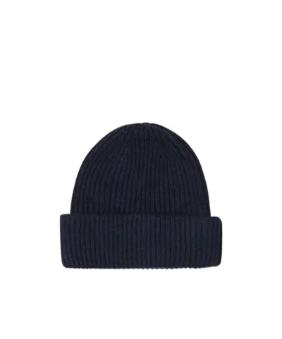 Fedeli Cashmere Knitted Hat In Black