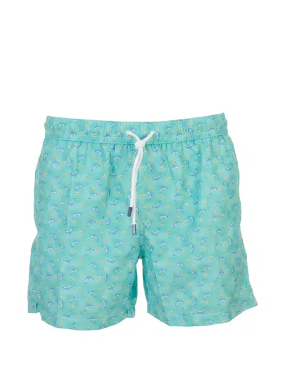 Fedeli Dolphin-print Swim Shorts In Green