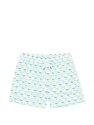 Fedeli Drawstring Animal Print Swim Shorts In Blue