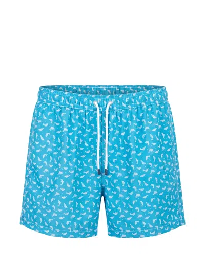 Fedeli Madeira Dolphin-print Swim Shorts In Blue