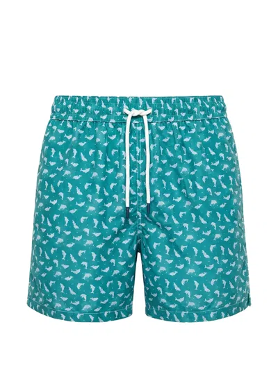 Fedeli Madeira Dolphin-print Swim Shorts In Green