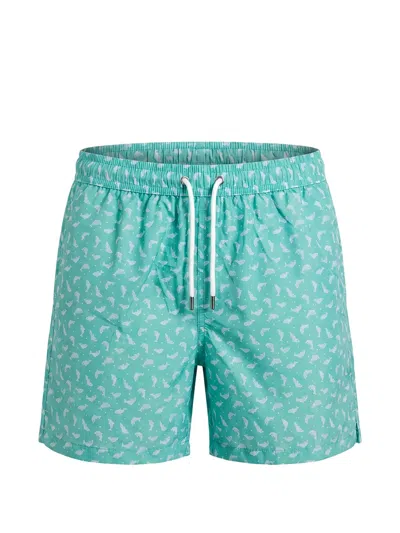 Fedeli Madeira Dolphin-print Swim Shorts In Green