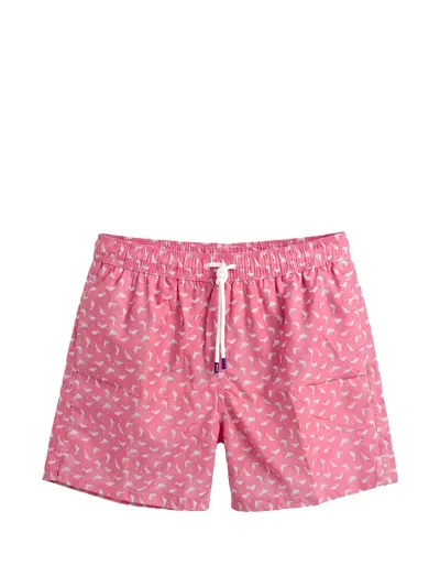 Fedeli Madeira Dolphin-print Swim Shorts In Pink