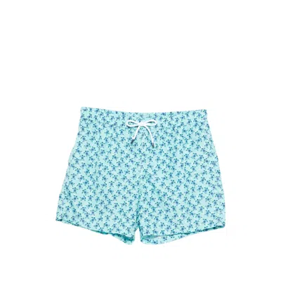 Fedeli Turtle-print Swim Shorts In Multi