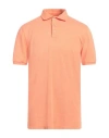 Fedeli Man Polo Shirt Mandarin Size 40 Organic Cotton In Mandarin