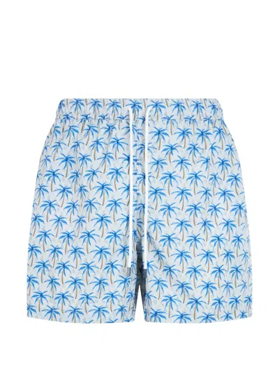 Fedeli Palm-tree Print Drawstring Shorts In Blue