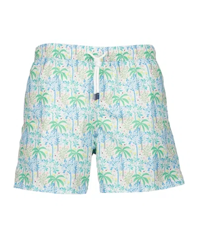 Fedeli Plant Printed Swimming Trunks In Multi