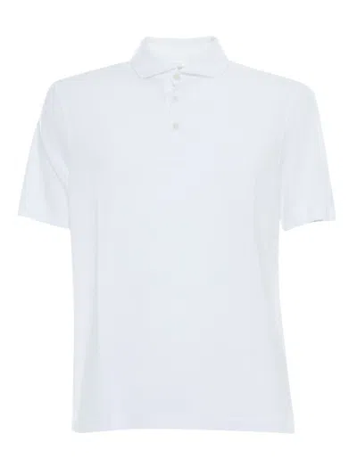 Fedeli Polo In Multicolor