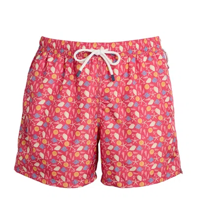 Fedeli Swim Trousers Woven Fabric Man In Pink