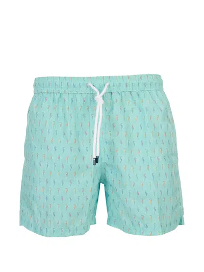 Fedeli Seahorse-print Drawstring Swim Shorts In Green