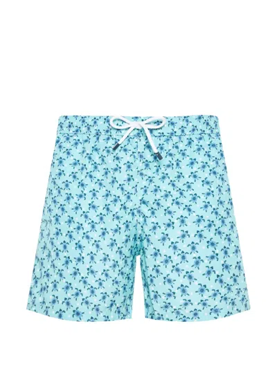 Fedeli Turtle-print Swim Shorts In Multi