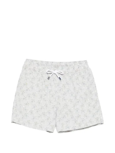 Fedeli Turtle-print Swim Shorts In Gray