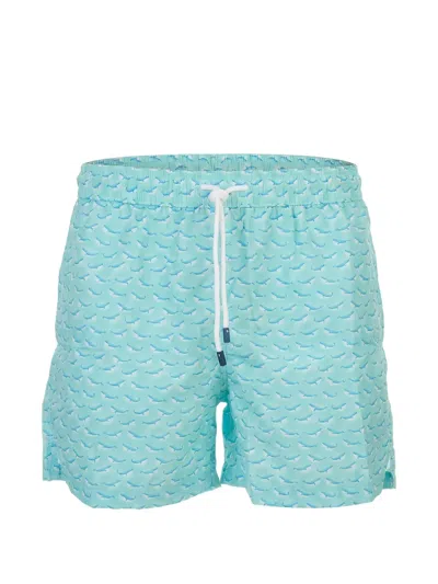 Fedeli Whale-print Drawstring Swim Shorts In Green