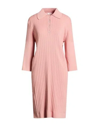 Fedeli Woman Midi Dress Antique Rose Size 8 Cotton In Pink