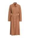Fedeli Woman Midi Dress Light Brown Size 6 Cotton In Brown
