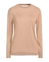 Fedeli Woman Sweater Camel Size 12 Cashmere, Silk In Beige