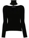 Federica Tosi Detachable-turtleneck Ribbed Sweater In Black