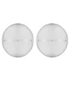 Federica Tosi 'luna' Metallic Earings With Rear Butterfly Clasp Closure And Circular Design In Metallic