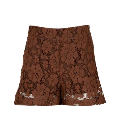 Federica Tosi Lace Shorts In Brown