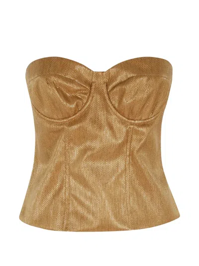 Federica Tosi Strapless Bustier Top In Brown