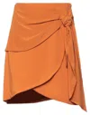 Federica Tosi Mini Skirts In Red