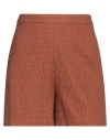 Federica Tosi Woman Shorts & Bermuda Shorts Brown Size 6 Cotton, Polyester In Brown
