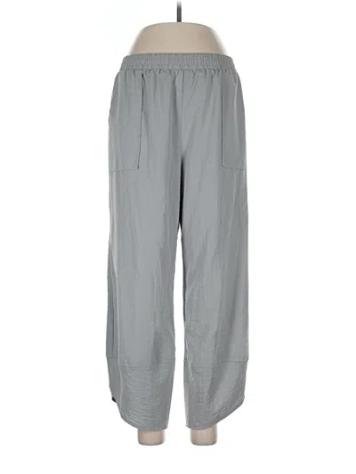 Pre-owned Feiersi Casual Pants In Gray