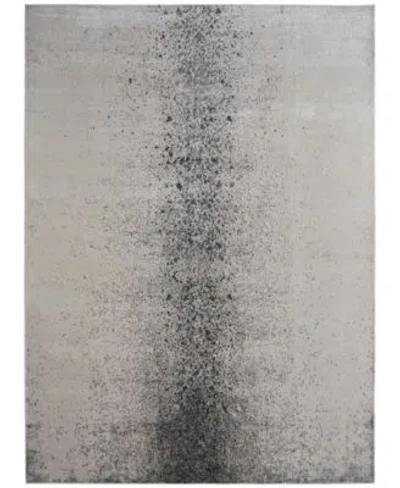 Feizy Astra 39l2f Rug Collection In Ivory,gray