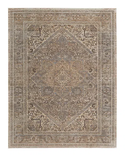 Feizy Celene Cel39kxf Area Rug, 5' X 7'6 In Beige/gray