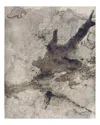 Feizy Clio Clo39lvf Area Rug, 5' X 7'6 In Taupe/brown
