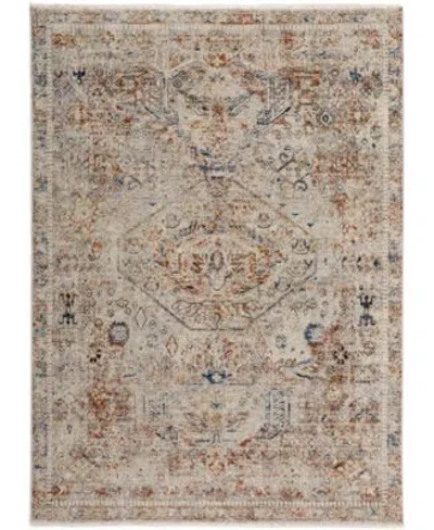 Feizy Frencess R39gj Area Rug In Brown