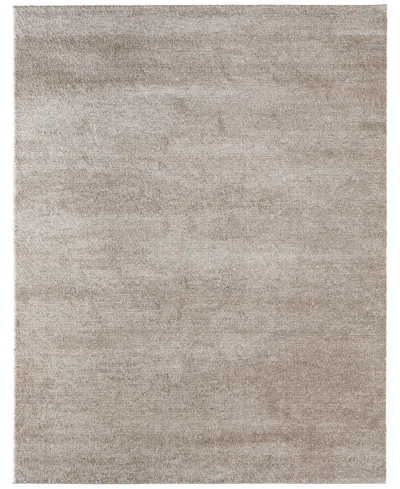 Feizy Jameson 39r8f 5'x7'6" Area Rug In Brown