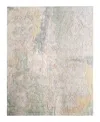 Feizy Jaxson 39saf Rug Collection In Green