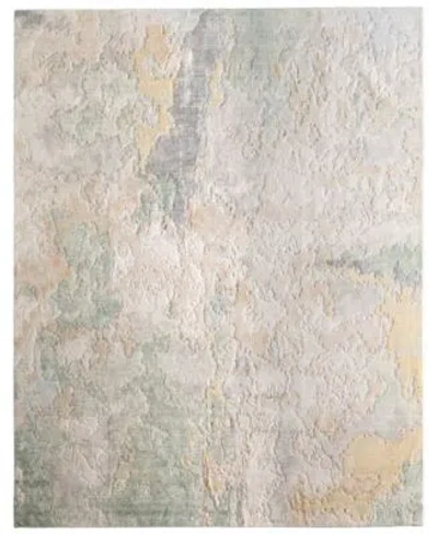 Feizy Jaxson 39saf Rug Collection