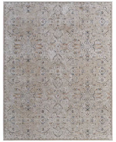 Feizy Pasha 39m6f 5'x7'6" Area Rug In Multi