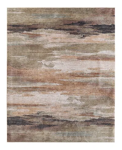 Feizy Pearson Prs39sbf Area Rug 10' X 12'7 In Brown