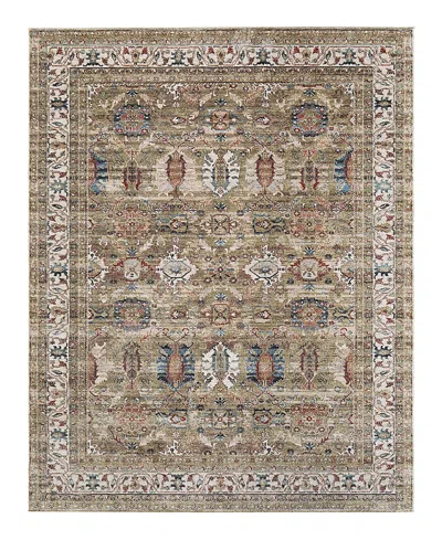 Feizy Pearson Prs39sjf Area Rug 10' X 12'7 In Brown