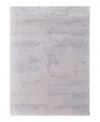 Feizy Prasad 39n8f Area Rug, 8' X 11'