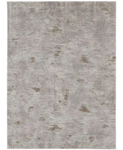 Feizy Vancouver 39fhf Rug Collection In Gray,brown