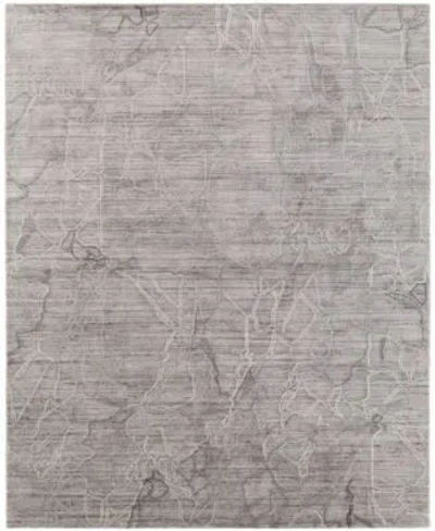 Feizy Whitton 8890f Rug Collection In Gray,tan