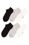Felina Assorted 6-pack Textured Mesh No Show Socks In Multi