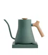 Fellow Stagg Ekg Pro Matte Tea Kettle In Green