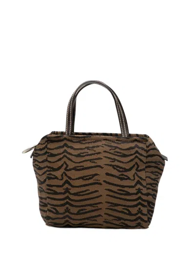 Pre-owned Fendi 2000-2010 Canvas Zebra Print Handbag In Brown