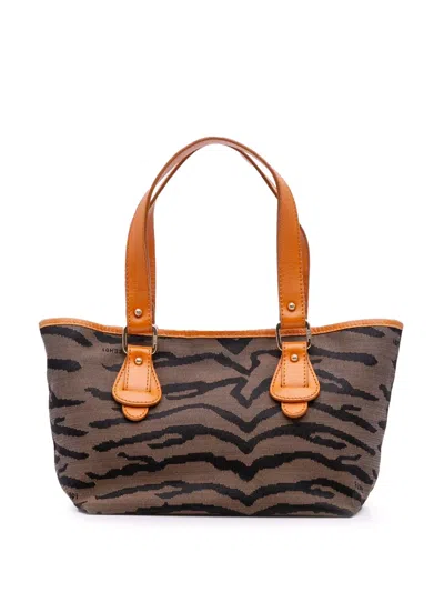 Pre-owned Fendi 2000-2010 Zebra Print Canvas Handbag In Brown