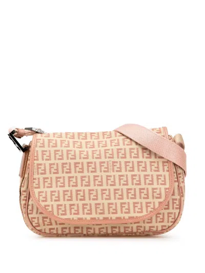 Pre-owned Fendi 2000-2010 Zucchino Canvas Crossbody Bag In Brown
