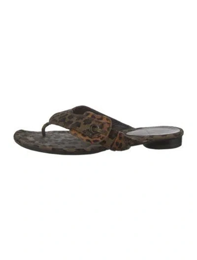 Pre-owned Fendi Animal Print Slides In Brown