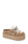 Fendi Après Chic Leather & Genuine Shearling Mule In Multi