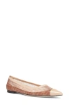 Fendi Colibri Ff Mesh Pointed Ballerina Flats In Rose