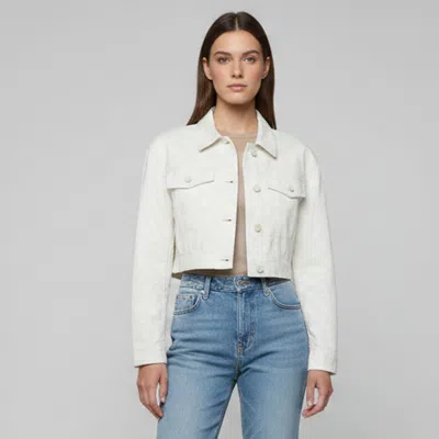 Pre-owned Fendi Cream Ff Karligraphy Pattern Denim Cropped Jacket S