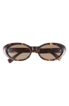 Fendi ' Diamonds 53mm Oval Sunglasses In Brown